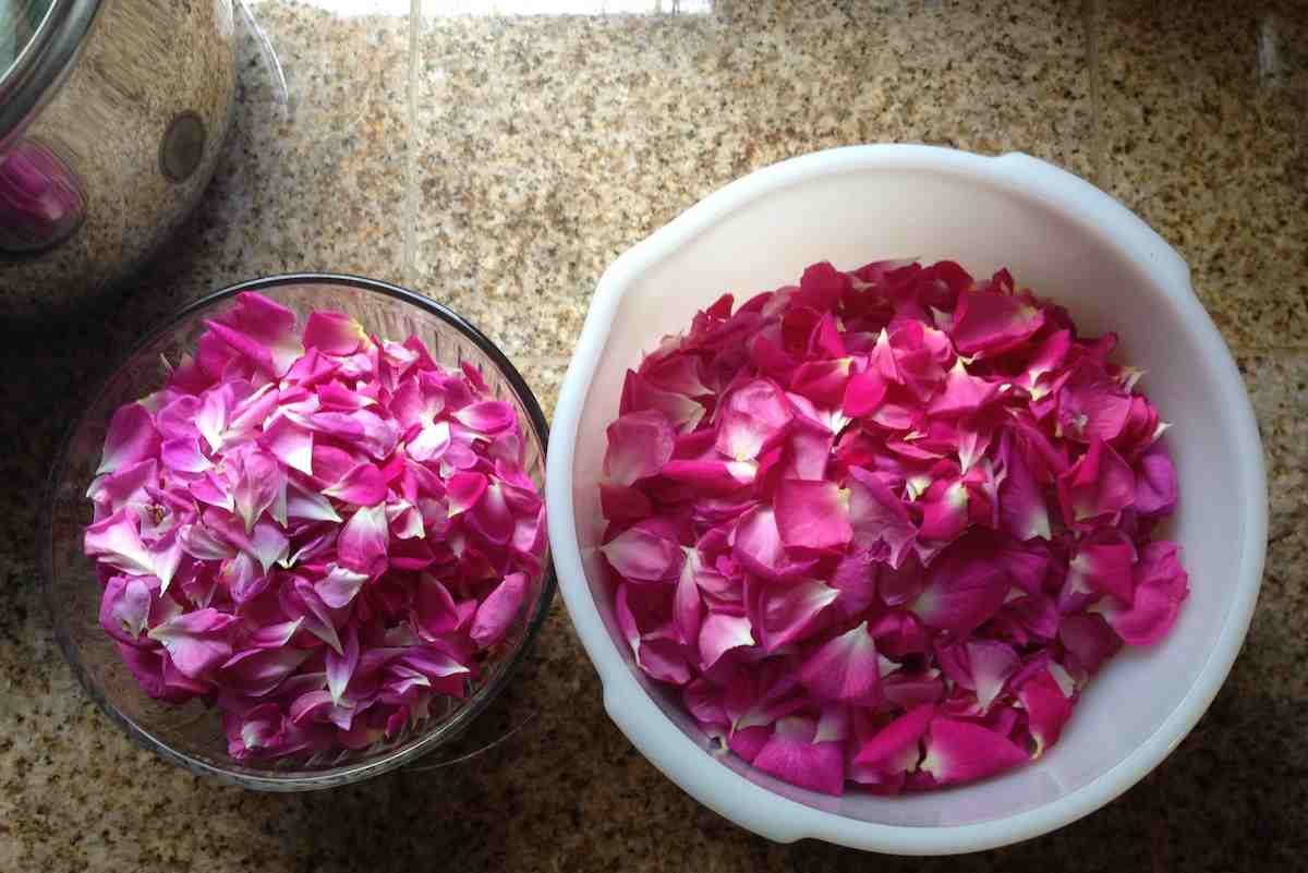 3V Products Dried Paneer Rose Petals 25 G  JioMart